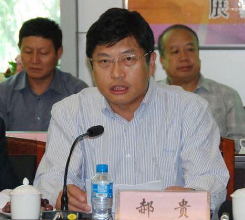 中国最大煤企神华副总裁郝贵被查