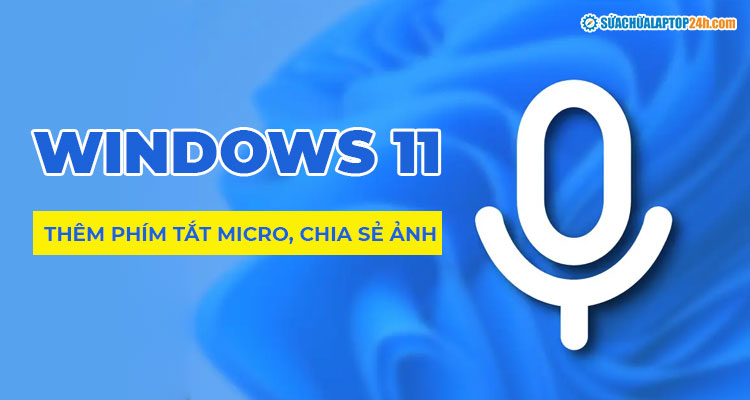 Windows 11 bản cập nhật