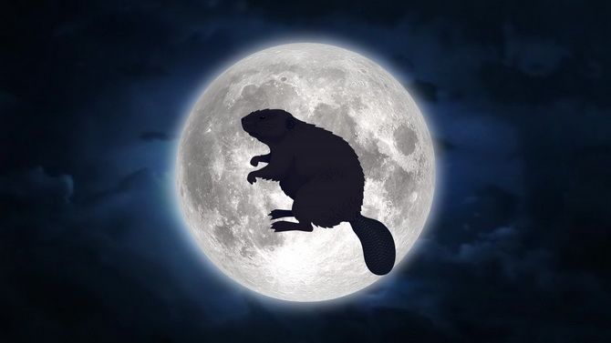 Beaver Moon - Full Moon November 2021 5
