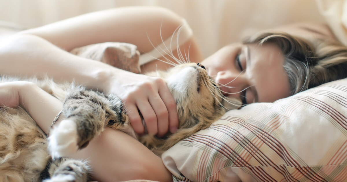 cat comfy in bed with owner