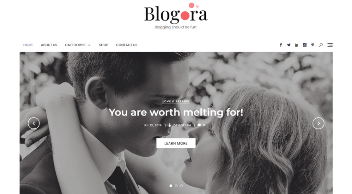 Blogora WordPress Tema