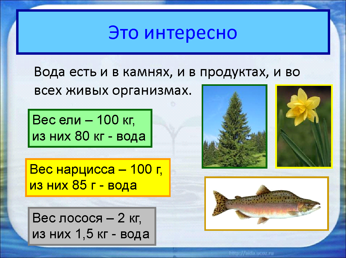 Задача по воде и по воздуху. Окружающий мир интересные факты. Презентация о воде 2 класс. Интересные факты об окружающем мире. Факты об окружающем мире для детей.