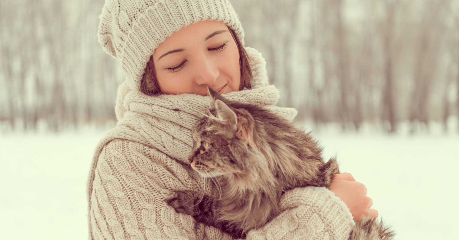 cat outside in owners arms wrapped up warm