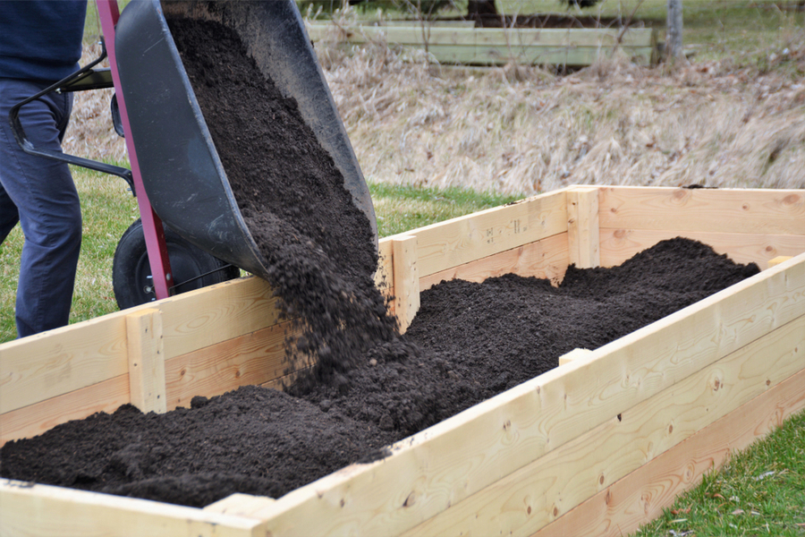 Fill the raised beds