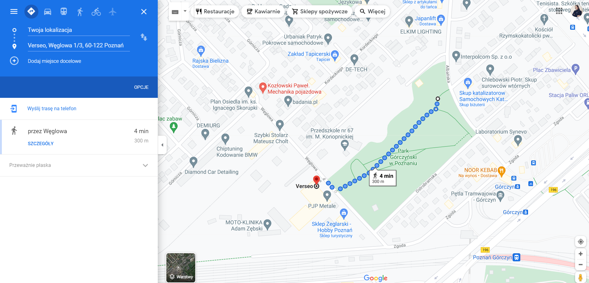 google maps pinezki widok