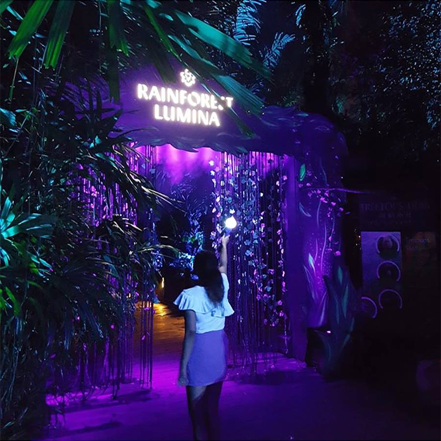 rainforest lumina singapore zoo
