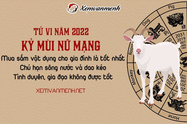 tu-vi-tuoi-ky-mui-nam-2022-nu-mang-1979