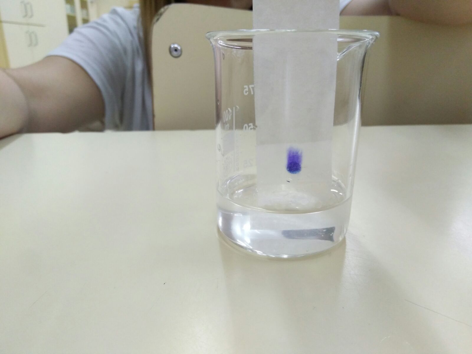 IMG-20170513-WA0014.jpg