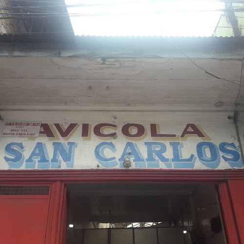 Avicola San Carlos