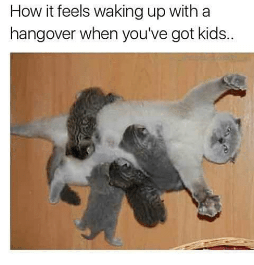Memes, Hangover, and Kids: How it feels waking up with a hangover when you've got kids..