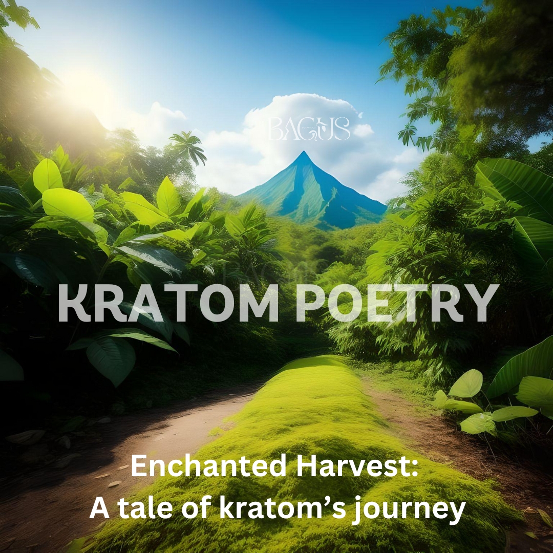 Enchanted Harvest: - A tale of kratom’s journey