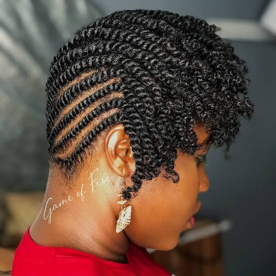 Updo with Flat Twists