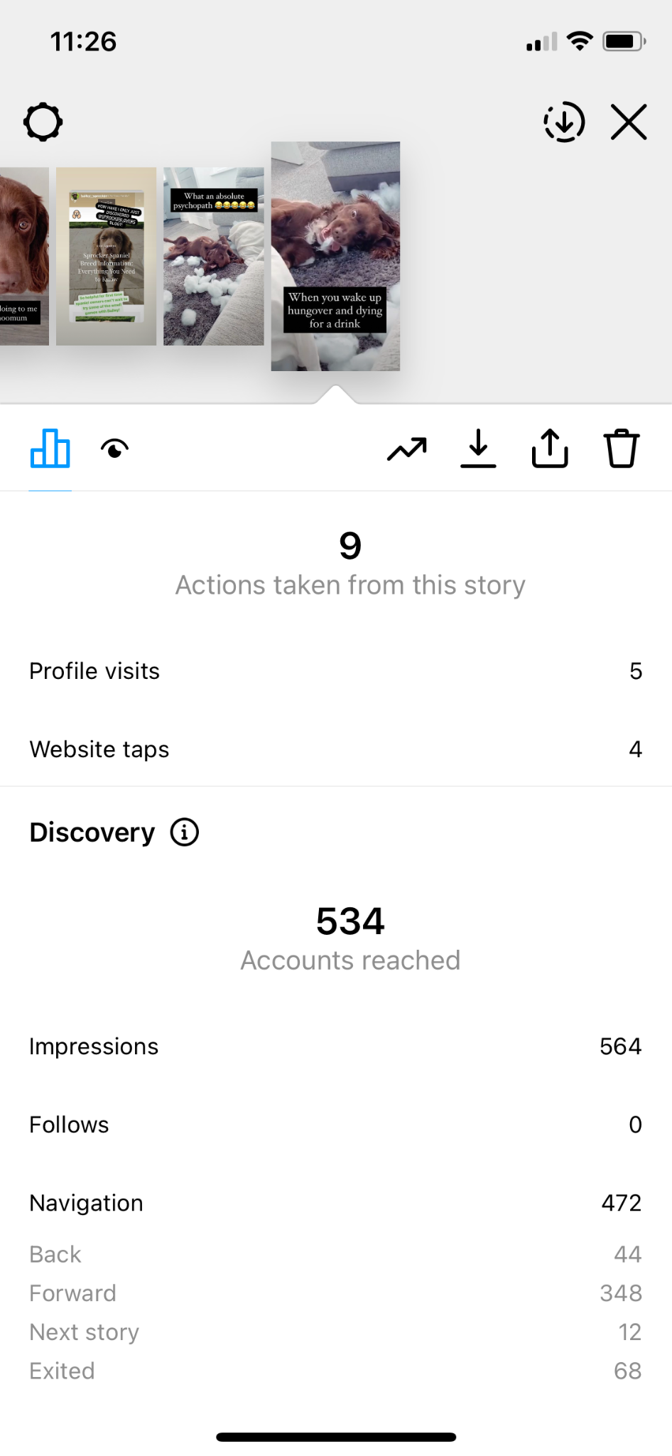 instagram story insights