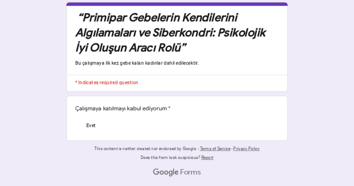 docs.google.com