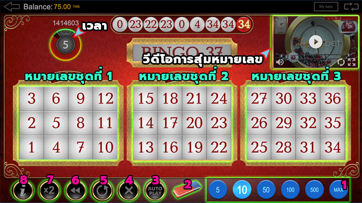 ปุ่มการใช้งานต่างๆในเกม