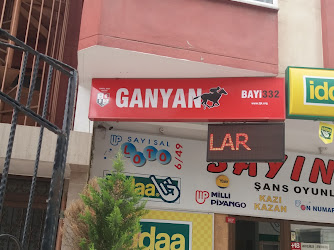Ganyan Bayi332