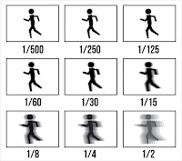 the basics of ISO, aperture, and shutter speed.