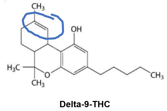 THC Wirkungen Delta-9-THC