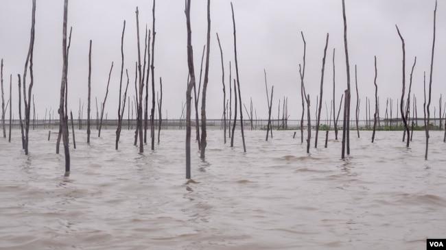 A fishing catch is set up in Tonle Sap lake, on May 03, 2022. (Khan Sokummono/VOA Khmer)