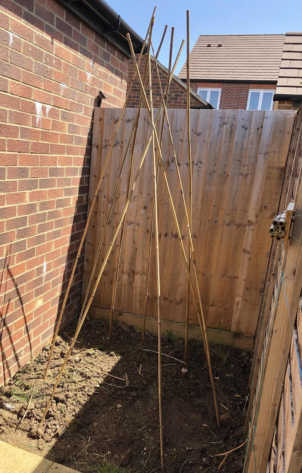 Half constructed garden teepee