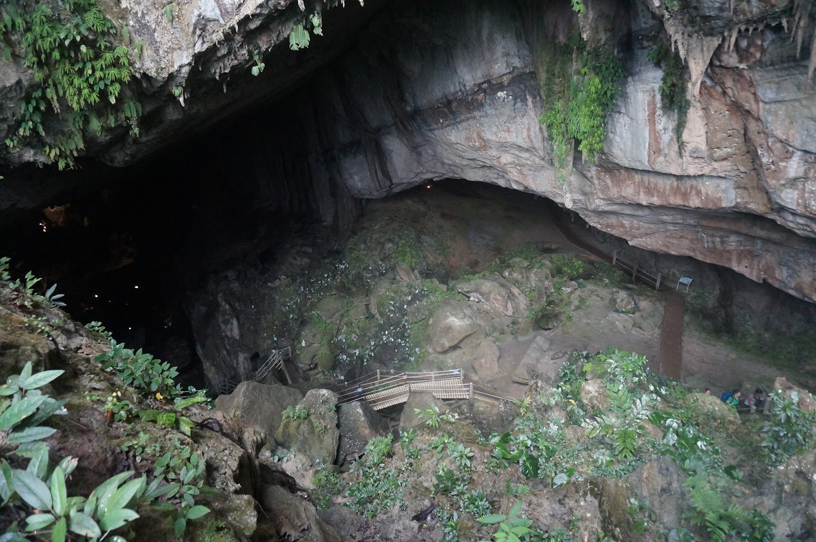 DSC08948.JPG