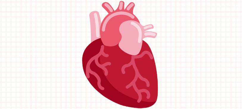Anatomical Heart emoji meaning