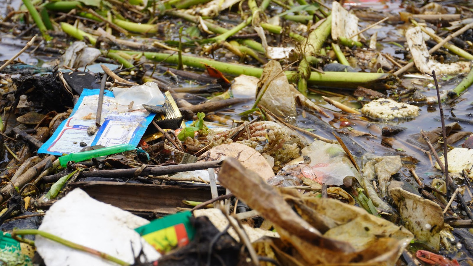 Pile of Plastic Packaging Garbage in the Citarum River (Aviaska Wienda S / Greeneration Foundation)