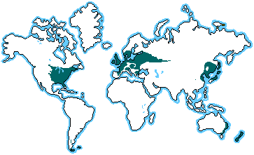 http://www.blueplanetbiomes.org/images/deciduous_location_map001.gif