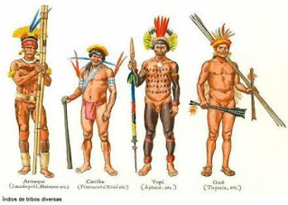 vestuário índios - Pesquisa Google | Indios brasileiros, Arte marajoara,  Povos indígenas brasileiros