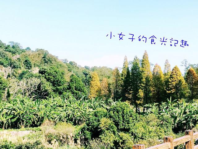 S__68288523