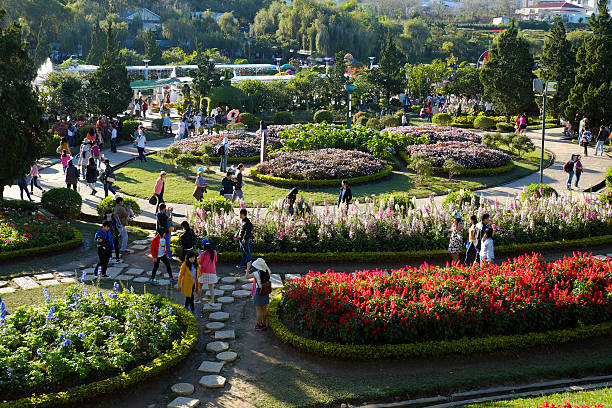 anh hoa da lat