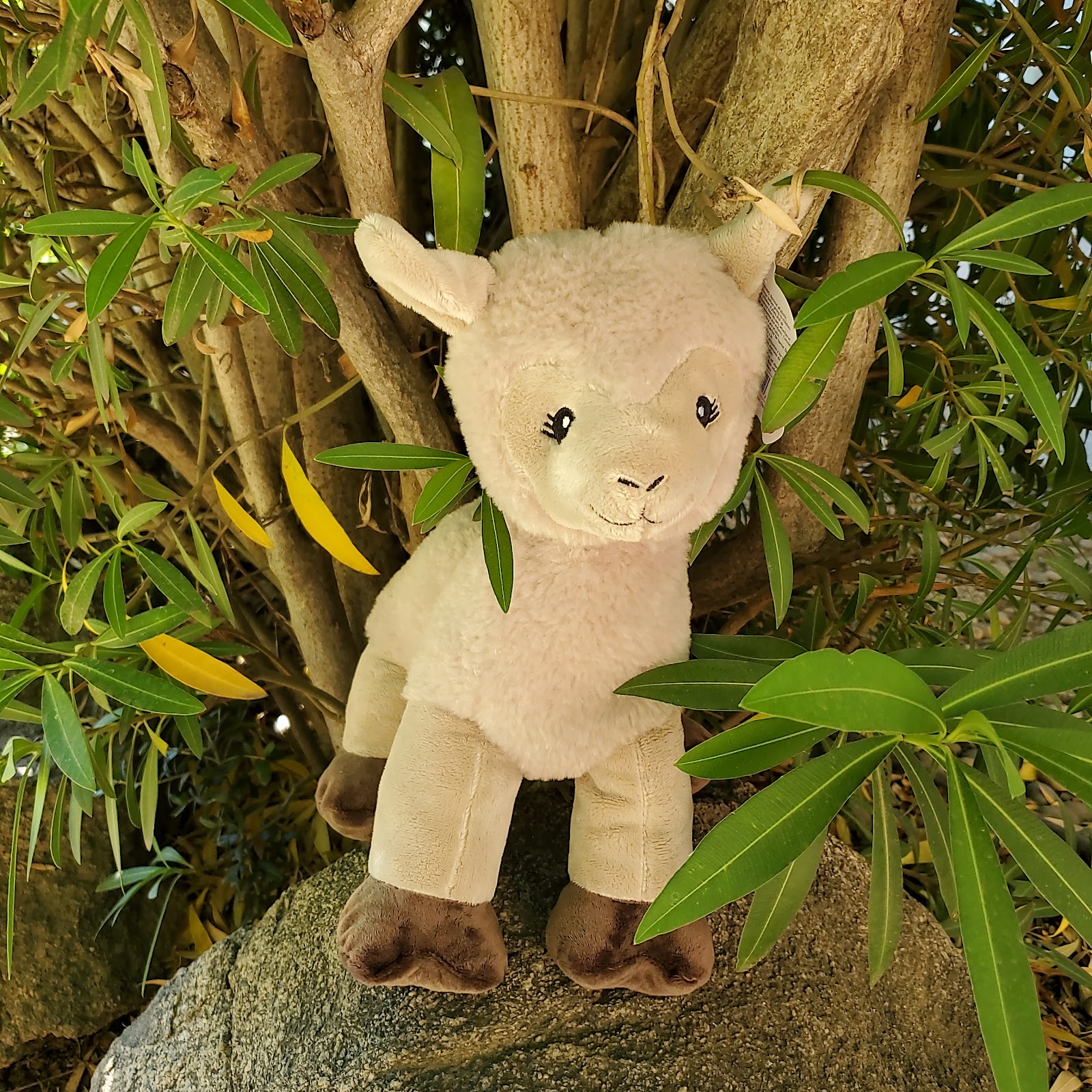 Photo of a Stuffed Plush Llama from Book and Bear on a rock