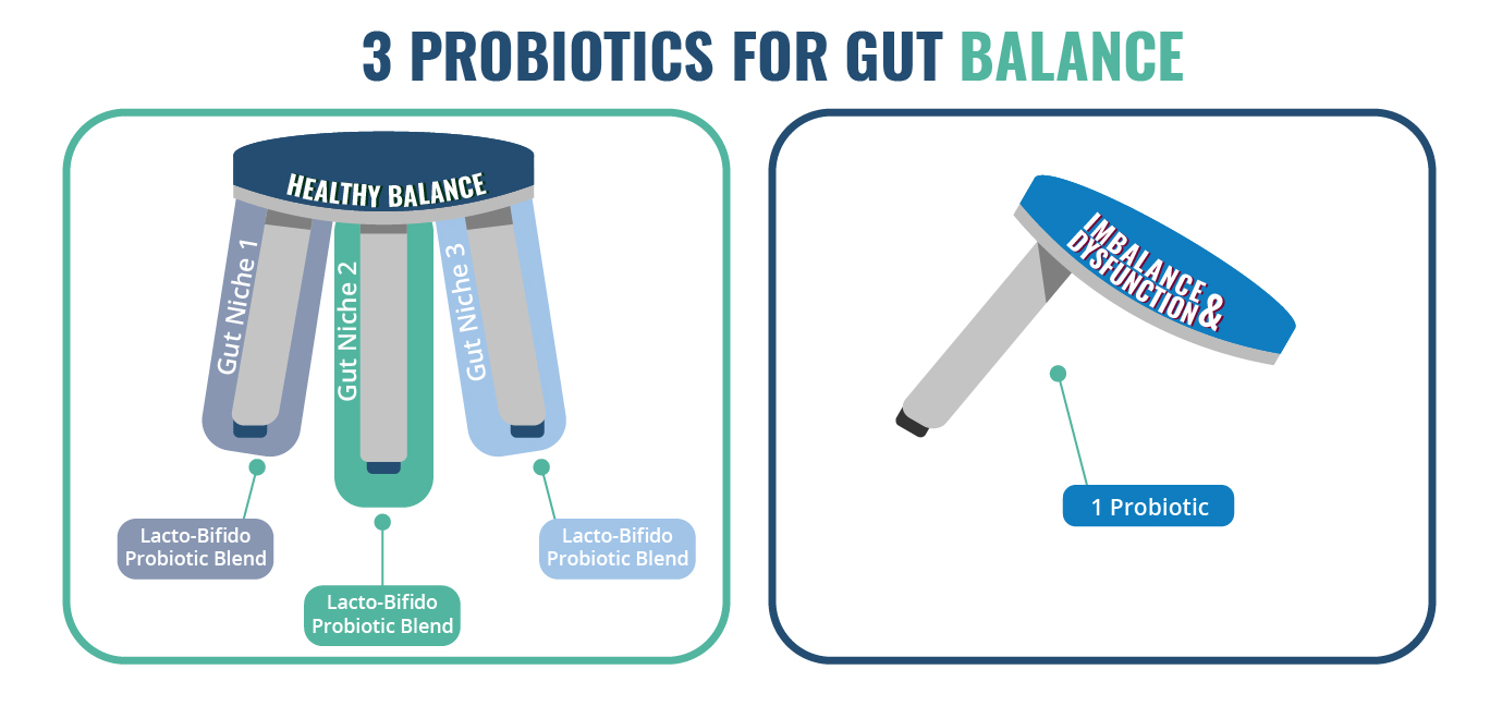 What are probiotics: Three categories of probiotics needed for gut balance