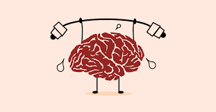 Study Shows Link Between Strong Muscles and a Strong Brain