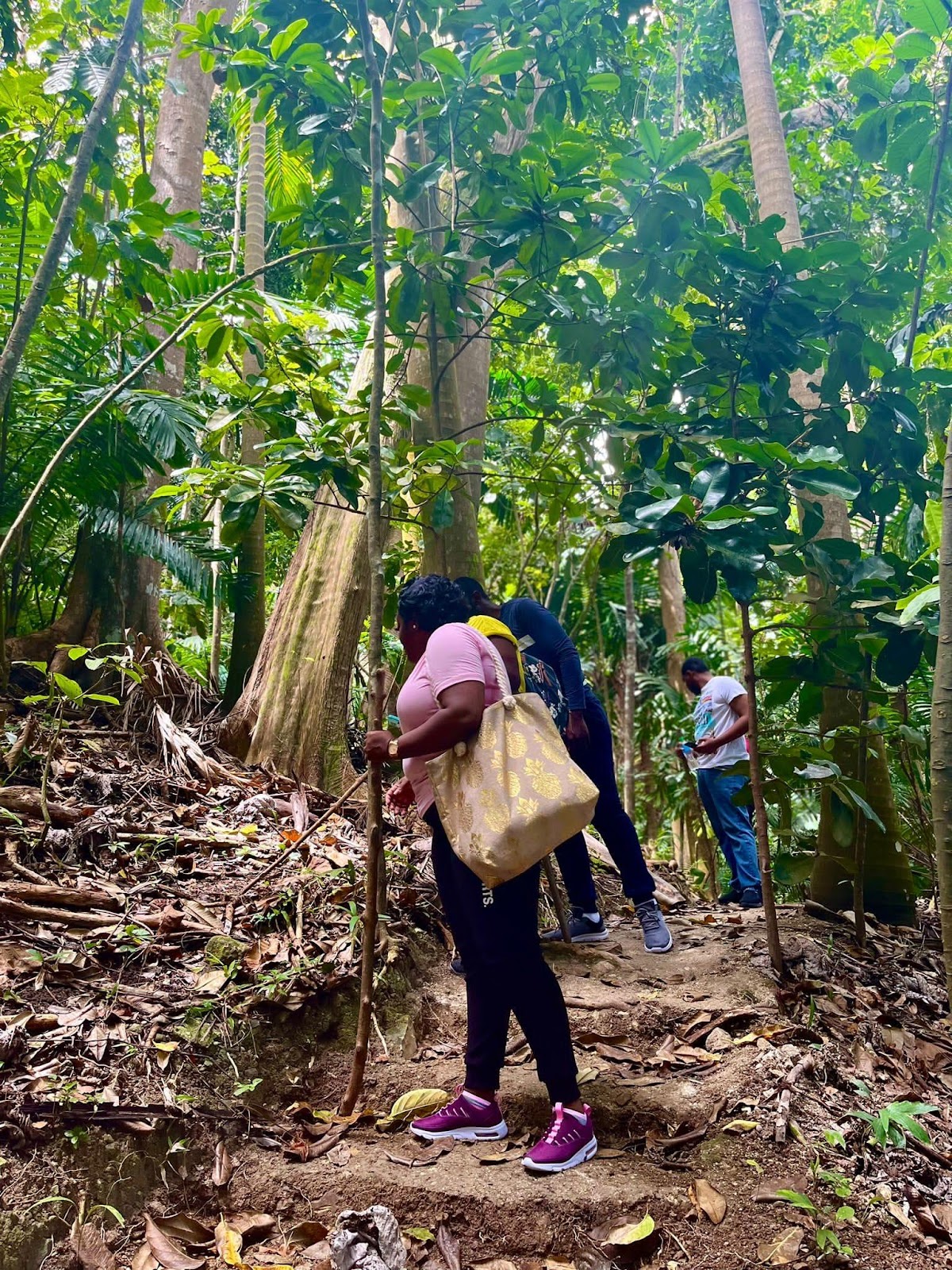 A group of people in a forest

Description automatically generated with medium confidence