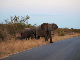 Sudafrica Kruger National Park