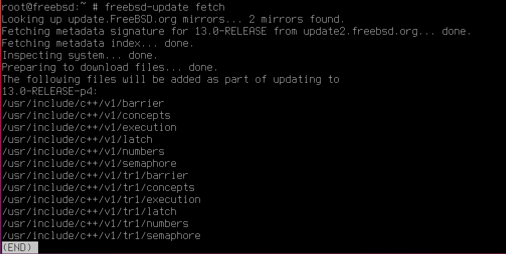 Update FreeBSD [fetch]. Source: nudesystems.com