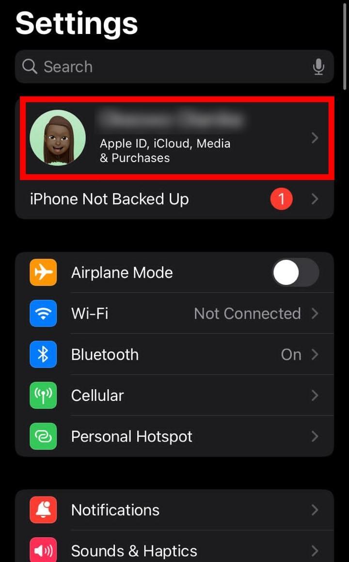 iphone setting