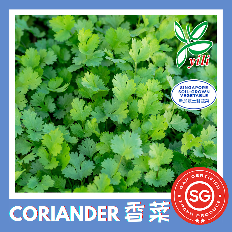 Coriander 50g - $2.80