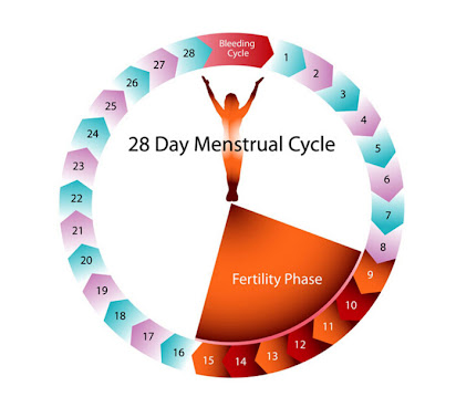 Is It Possible To Menstruate Twice In A Month