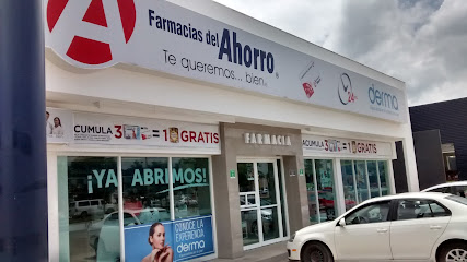 Farmacia Del Ahorro, , La Mezquitera