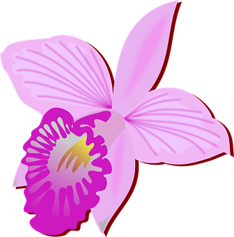 anh hoa lan dep