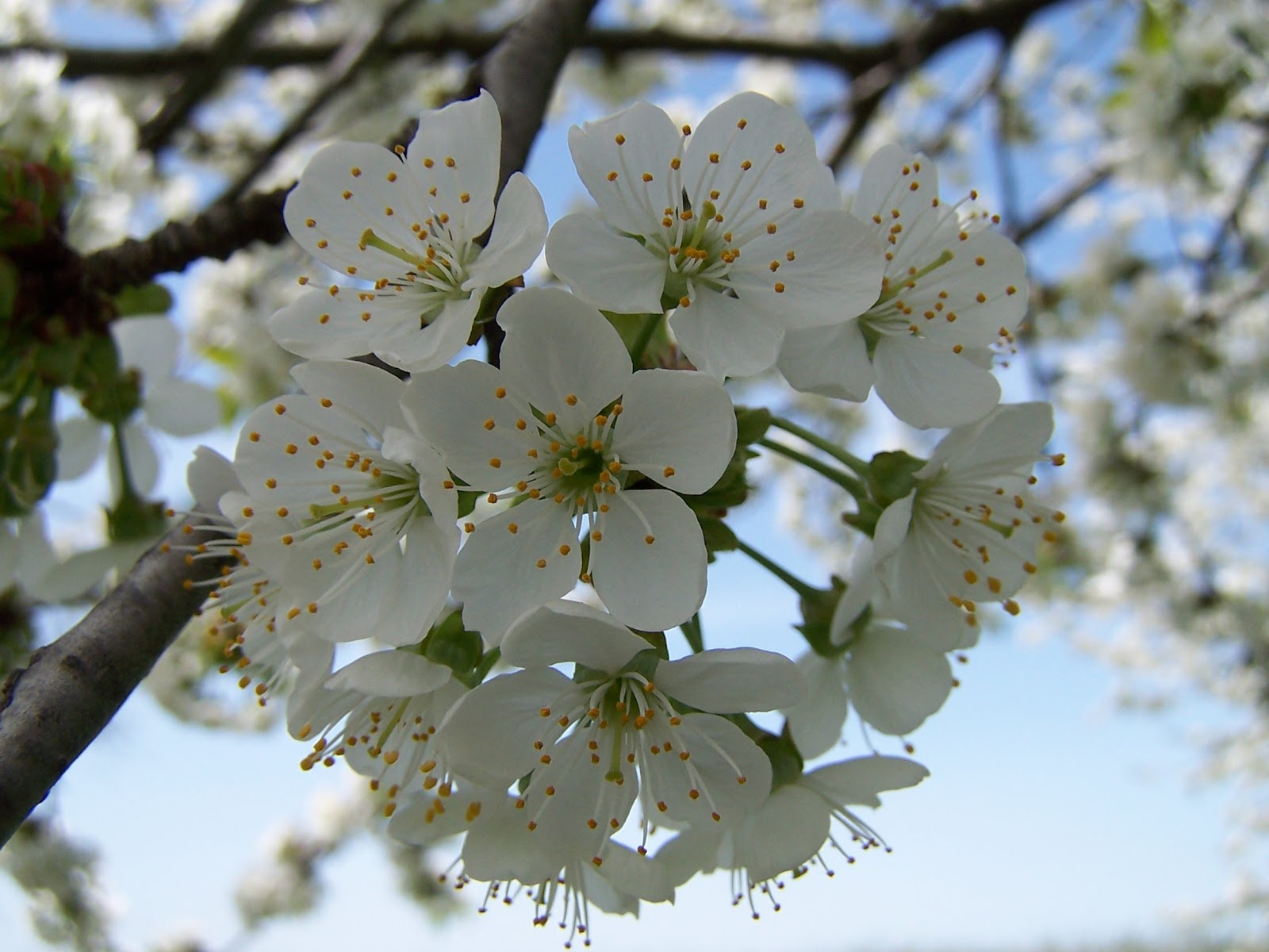 Poems For April