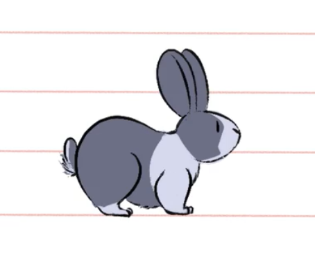gray bunny