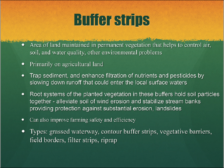 Poorly designed slide example with the title "Buffer strips" and several long sentences bulleted.
