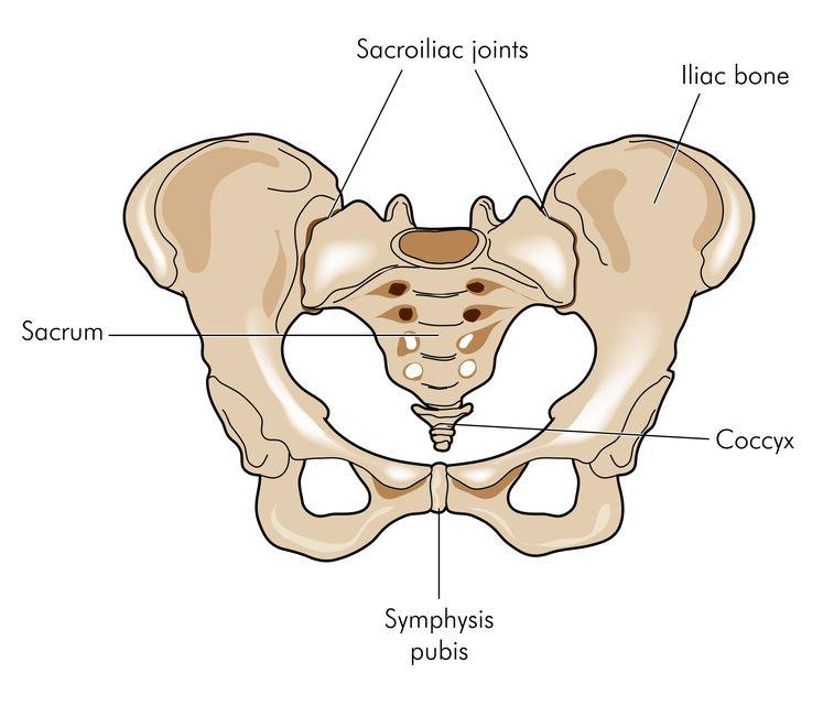 Sacroiliac Joint is Different from Other Joints