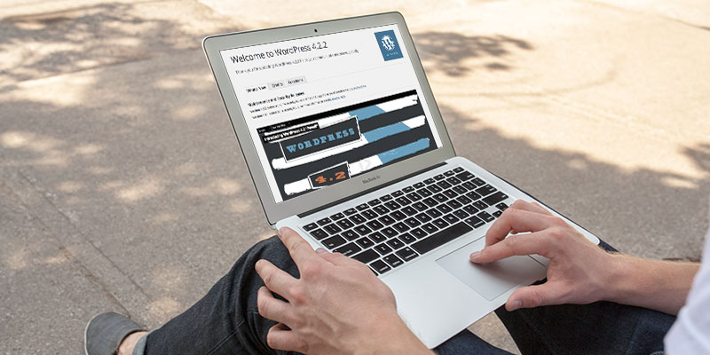 Versão do WordPress