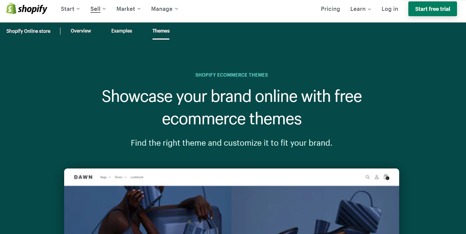 Shopify has tons of themes for you to choose from.