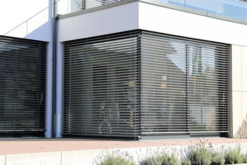 windows with venetian blinds