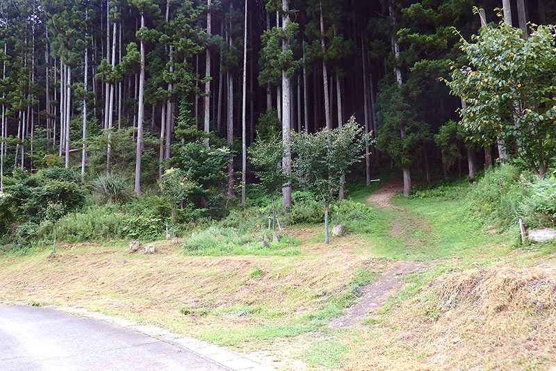 石巻市震災遺構大川小学校